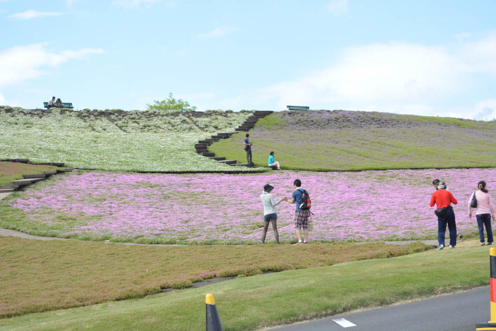 ３世代で楽しめた 東京ドイツ村 千葉県袖ケ浦市 茨城をたのしむ