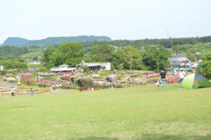 DSC_1027