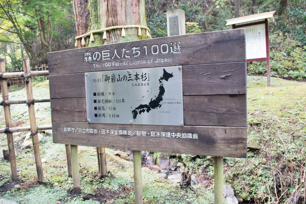 御岩神社森の巨人たち100選